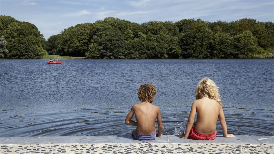 Dutch water landscape